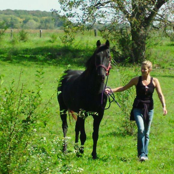 Meet your Posher, Mary - Picture 1 of 1